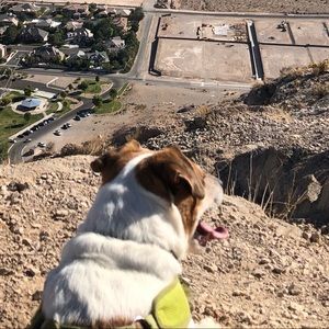 Meet your Posher, Benjamin